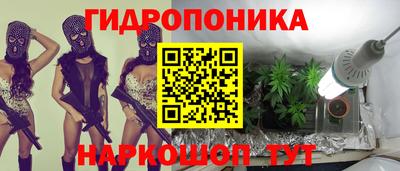 индика Канаш