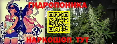 каннабис Кандалакша