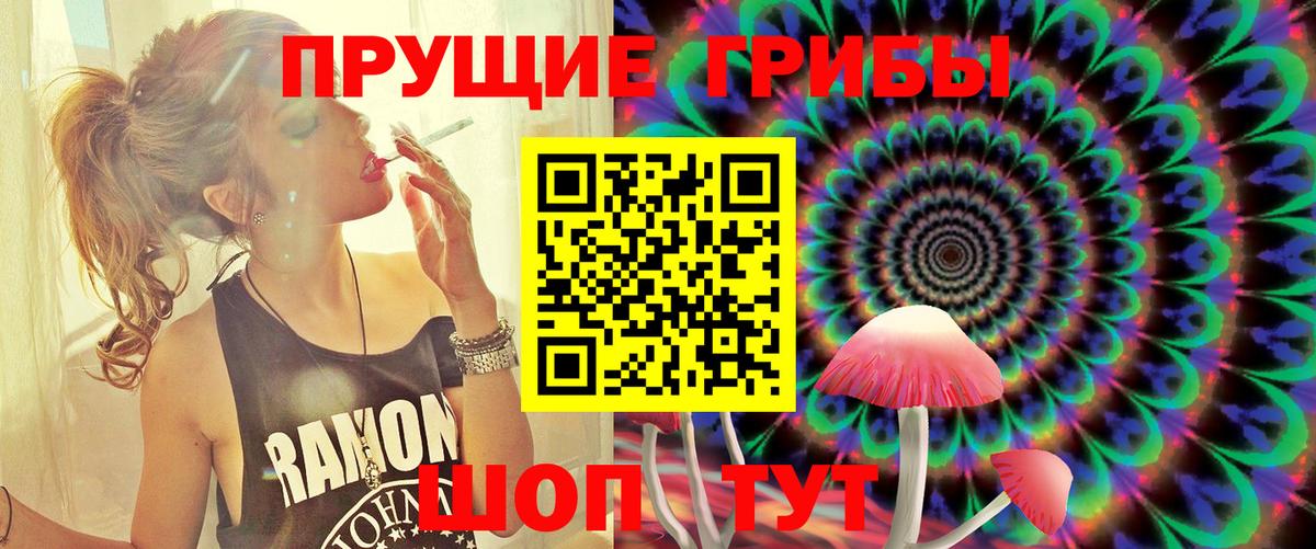 Псилоцибиновые грибы мицелий Фролово