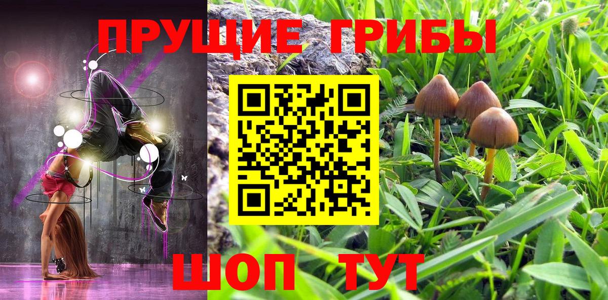 Фролово  Галлюциногенные грибы Psilocybe  Псилоцибиновые грибы Psilocybine cubensis  Вход с VPN 